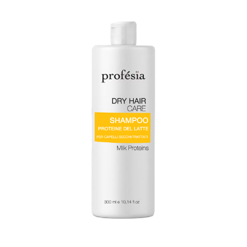Shampoo capelli secchi Dry Hair Care 300 ml